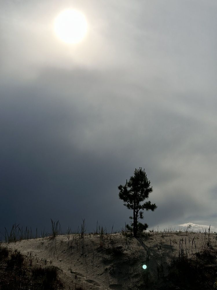 Photograph by Наталья Супрунюк