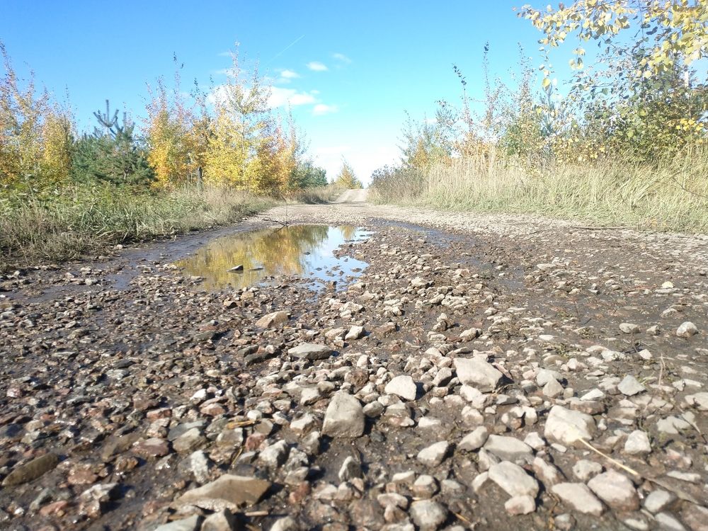 Photograph by Денис Потапов