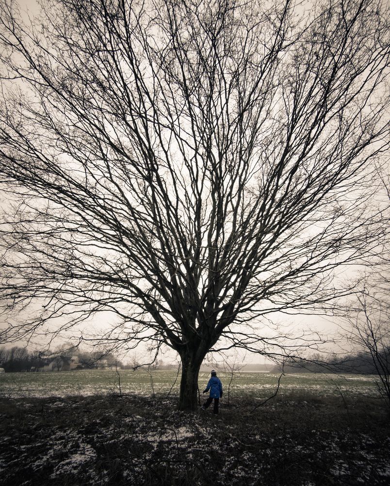 Photograph by Vitaliy