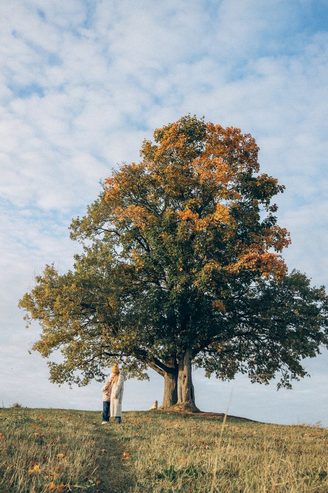 Photograph by Виктория Трач
