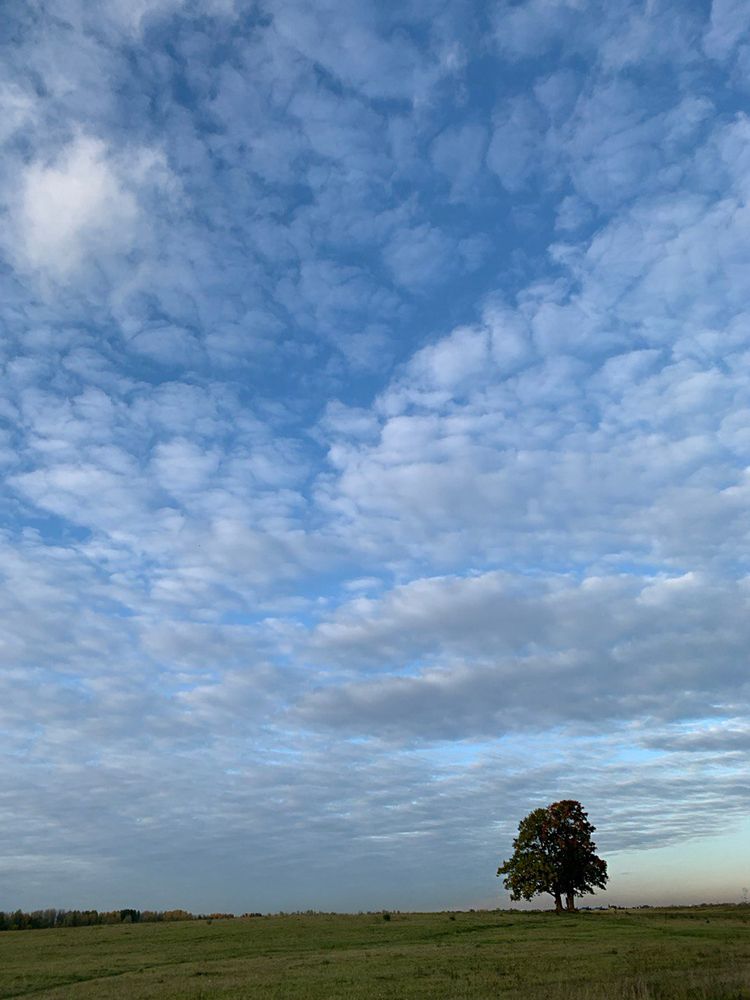 Photograph by Виктория Трач