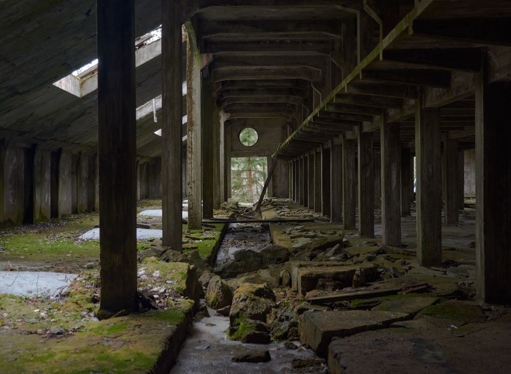 Фотография автора Антон Бразевич