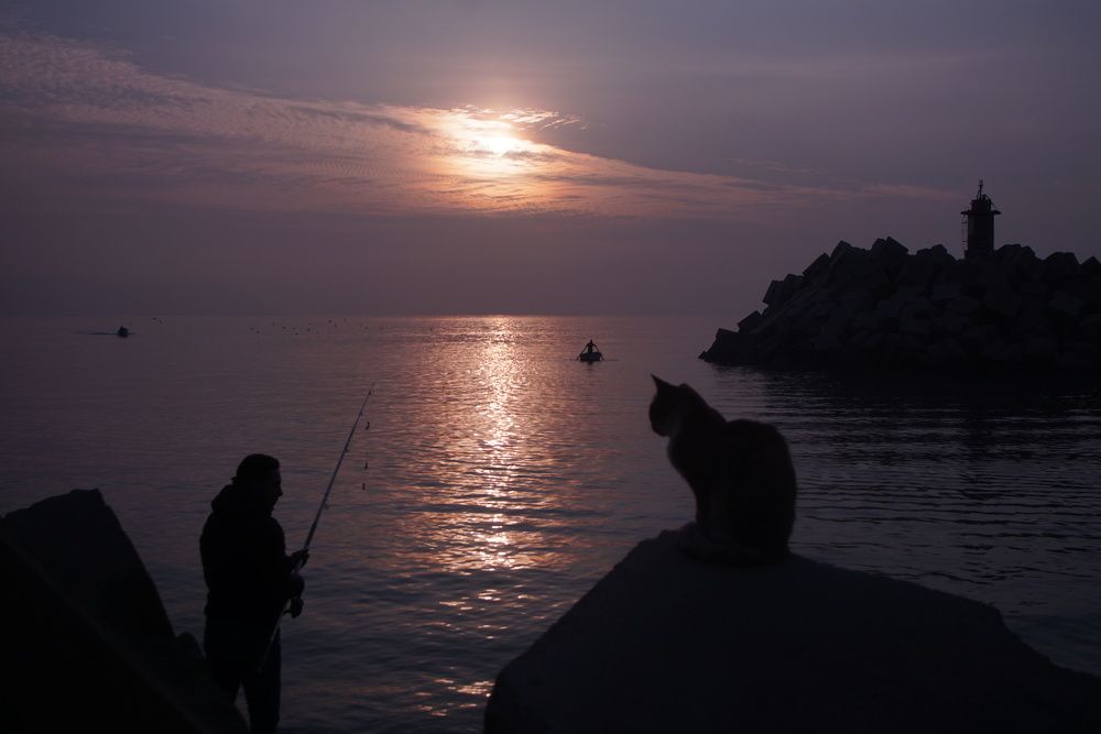 Photograph by mansour Hamdaoui