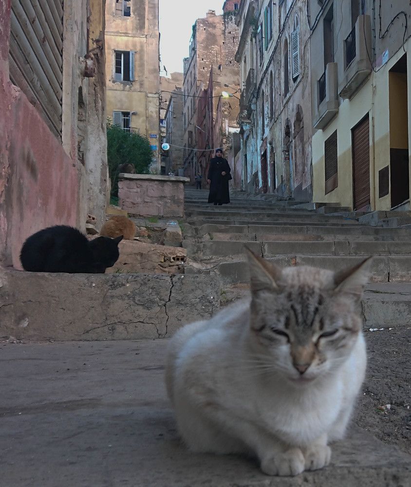 Photograph by mansour Hamdaoui