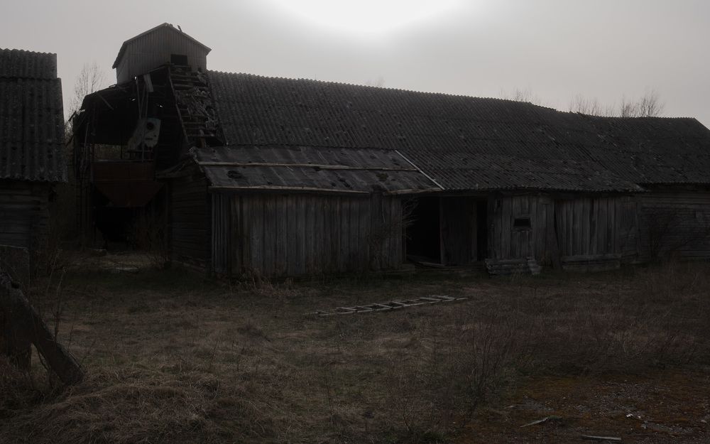 Фотография автора Андрей Врубель