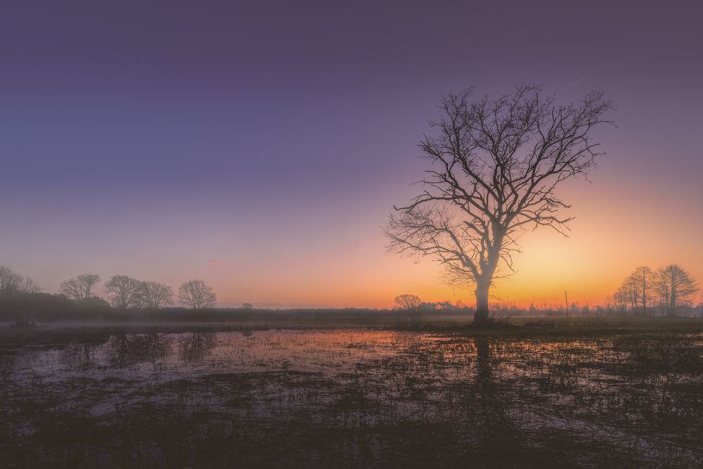 Photograph by Budyta Dariusz