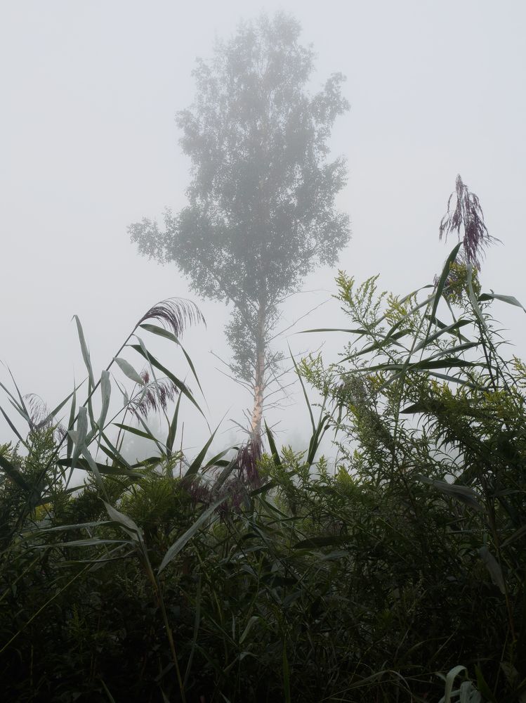 Фотография автора Андрей Врубель