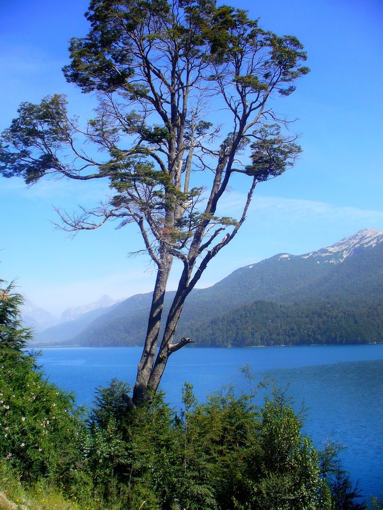 Y allí estaba. Solo!