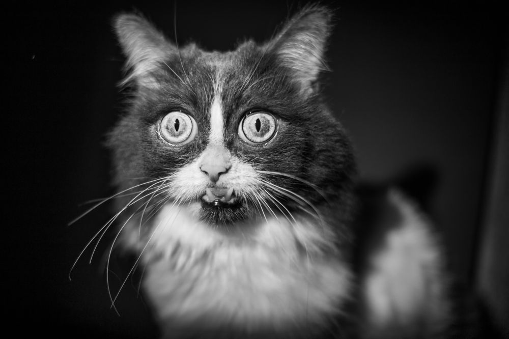 Photograph by Roman Iukliaevskii