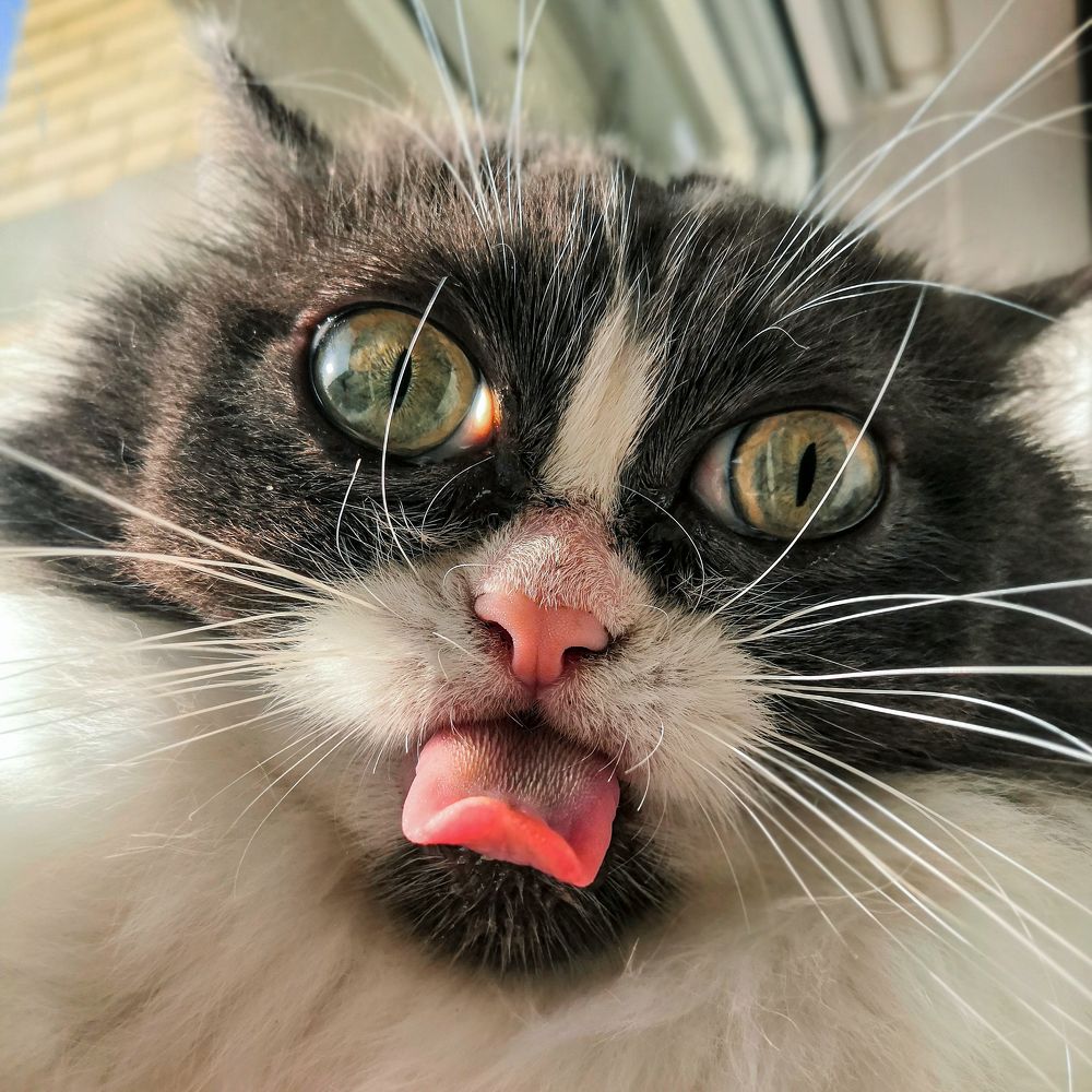 Photograph by Roman Iukliaevskii