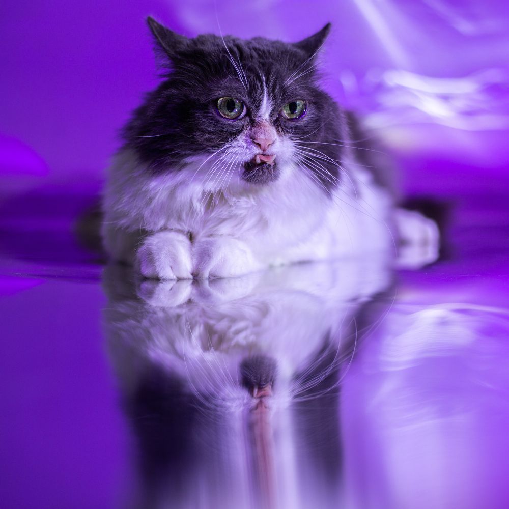 Photograph by Roman Iukliaevskii