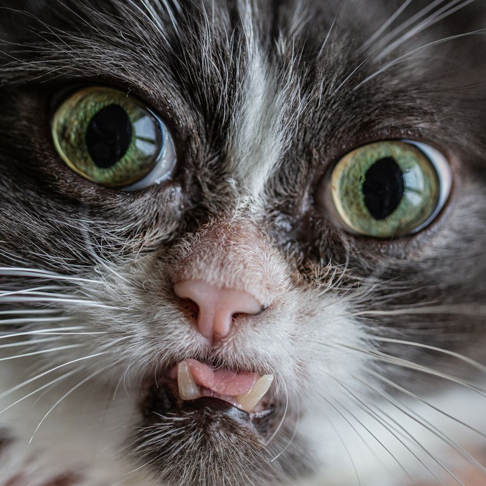 Photograph by Roman Iukliaevskii