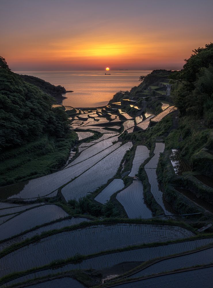 Rice terraces dyed in the sunset