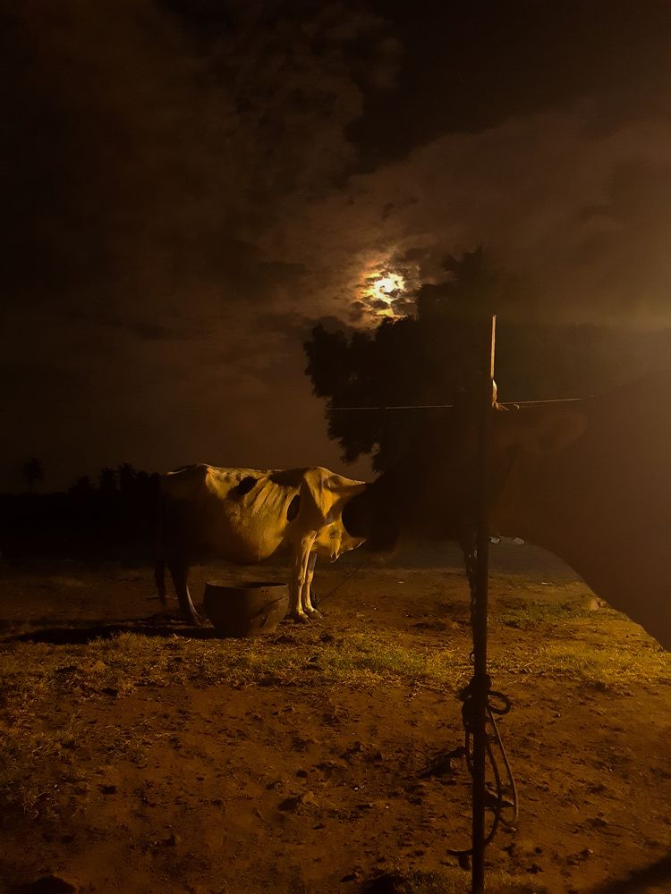 Photograph by PRABANJAN KARUPPUSAMY