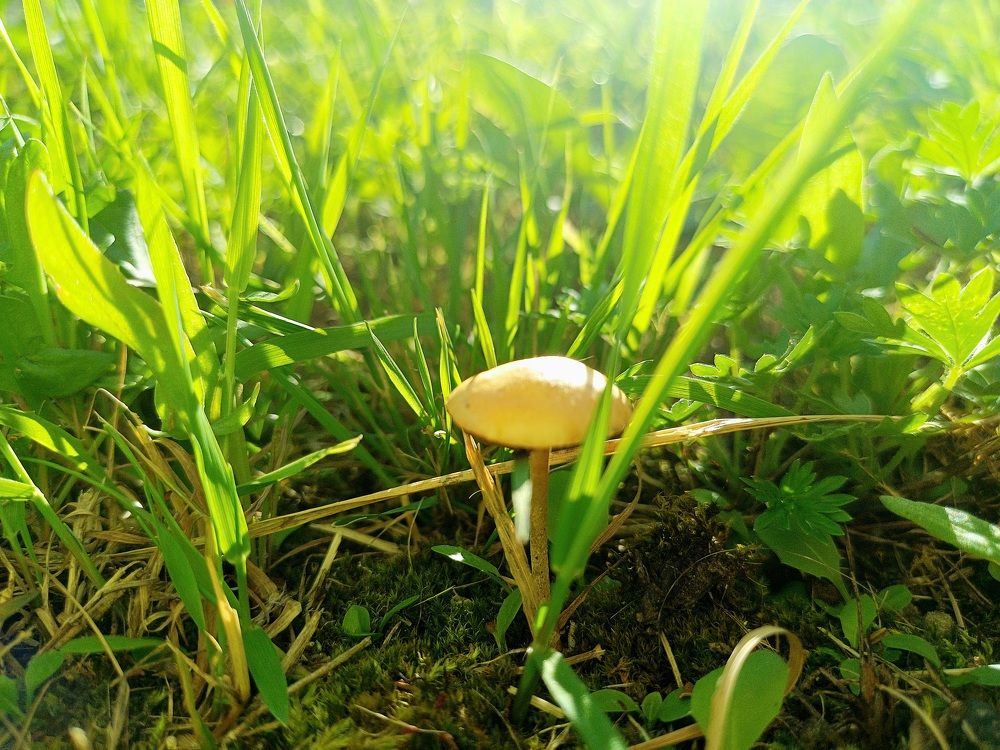 Photograph by Наталия Карни