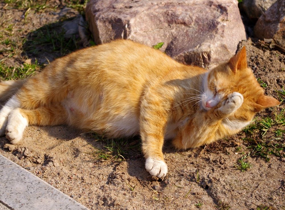 Photograph by Светлана Герасимчук