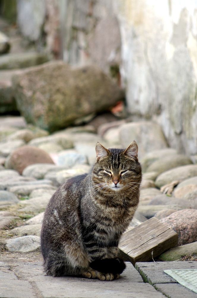 Photograph by Светлана Герасимчук