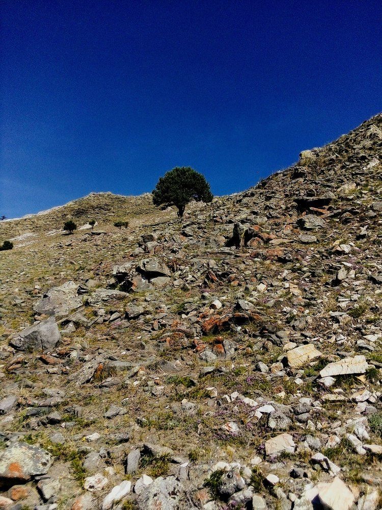 Photograph by Ирина Корнева