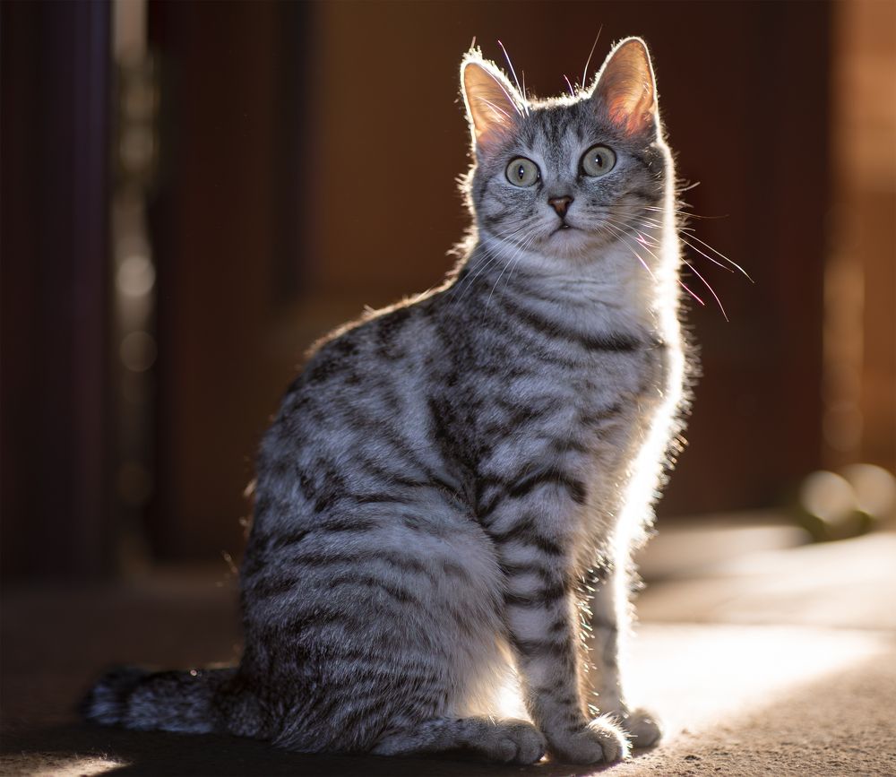 Photograph by Владимир Лебедев