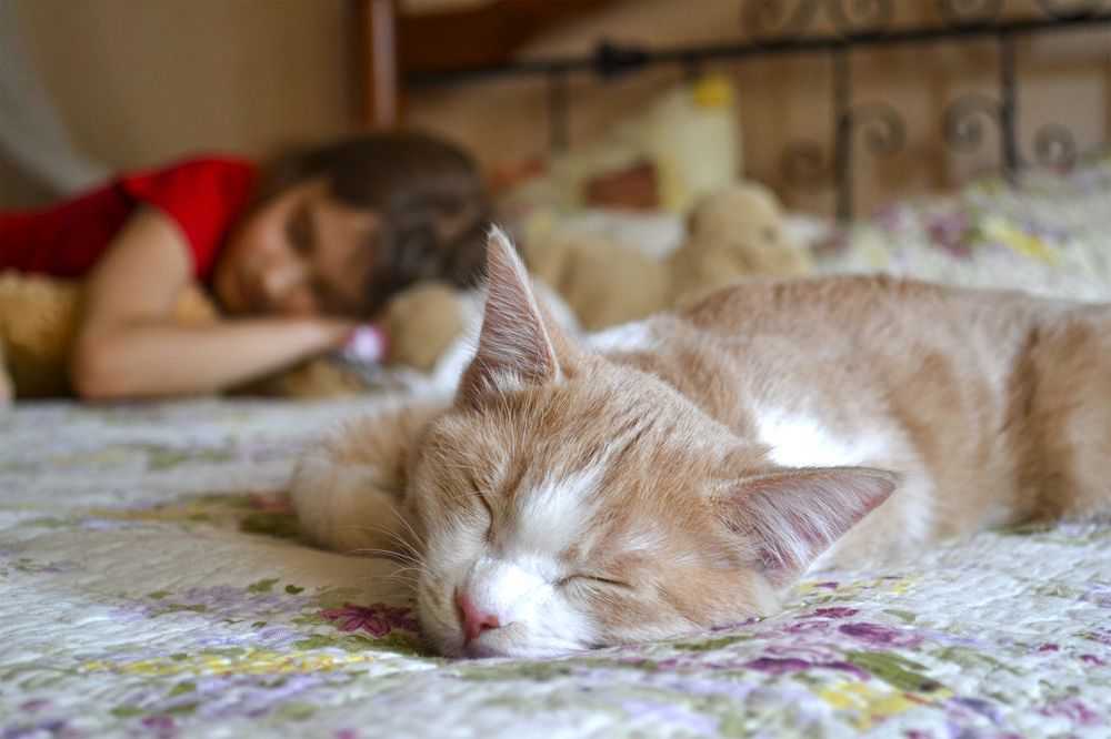 Photograph by Владимир Лебедев