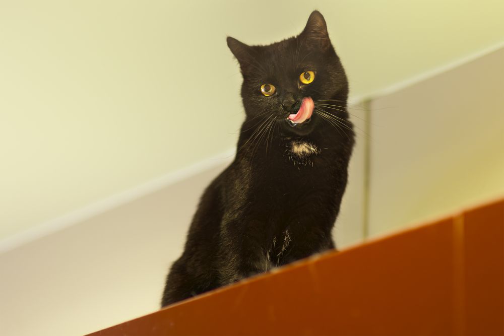 Photograph by Владимир Лебедев