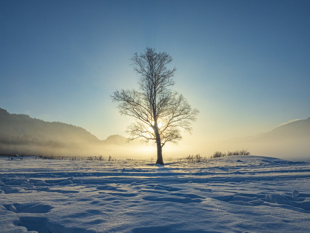 Photograph by 