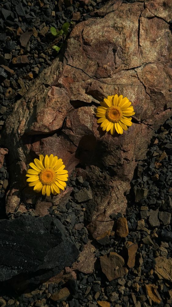 Photograph by Юлия Абдрашитова