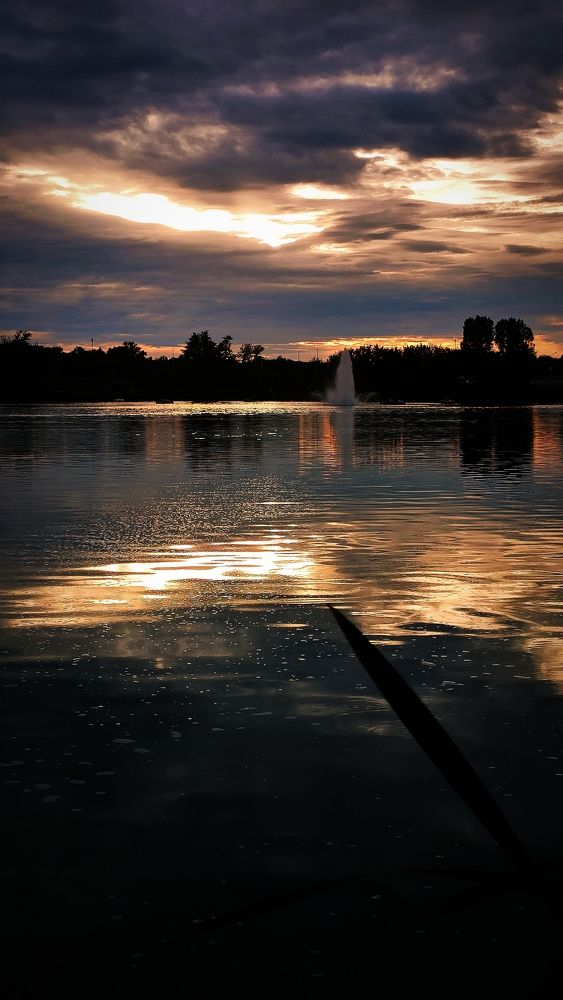 Photograph by Елизавета Карюченко