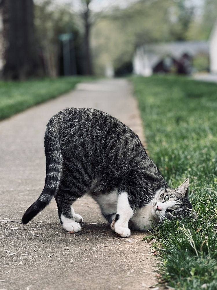 Фотография автора Olga Kichkaila