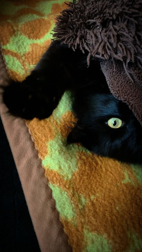 Photograph by Елизавета Карюченко