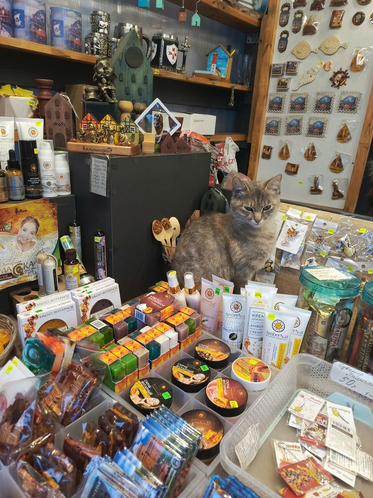 Продавец янтарных сувениров