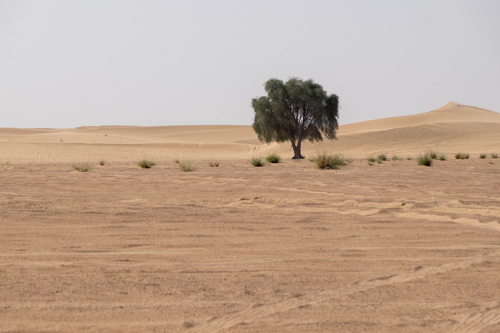 Фотография автора Наталья Липовская