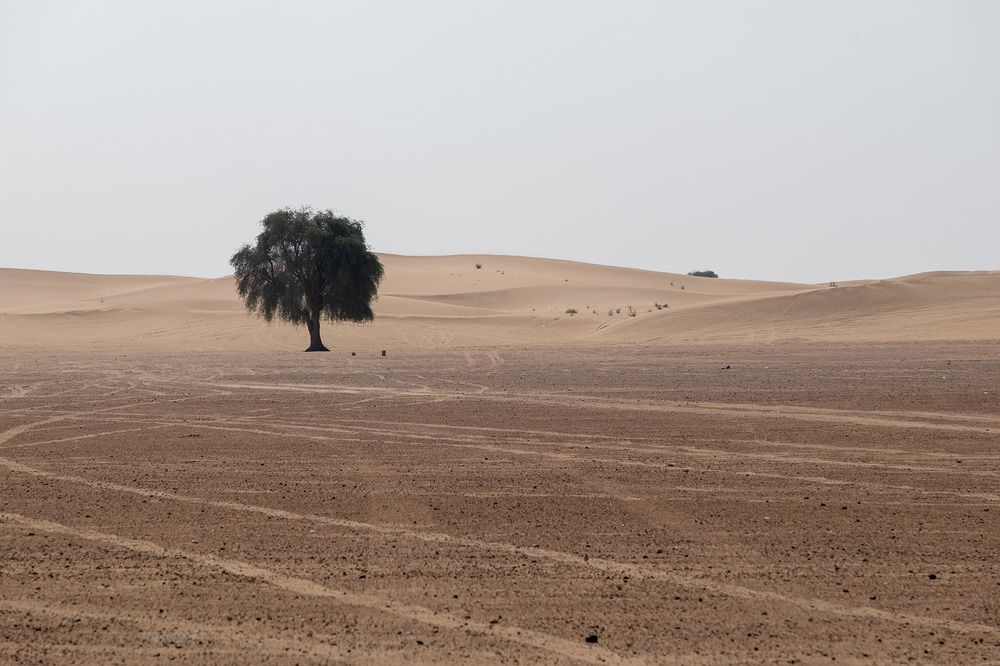Фотография автора Наталья Липовская