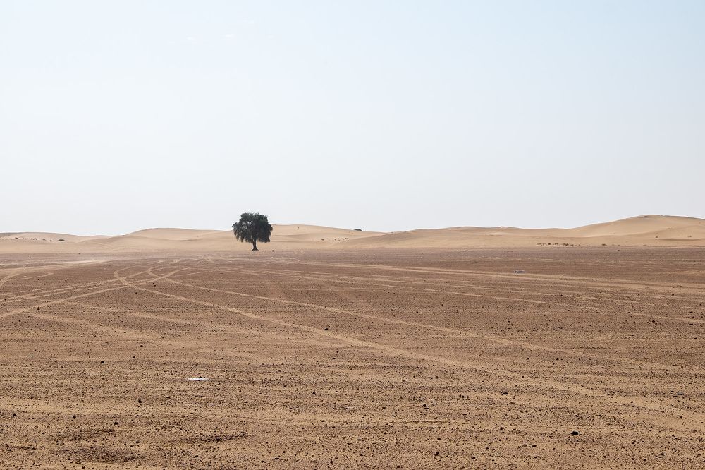 Фотография автора Наталья Липовская