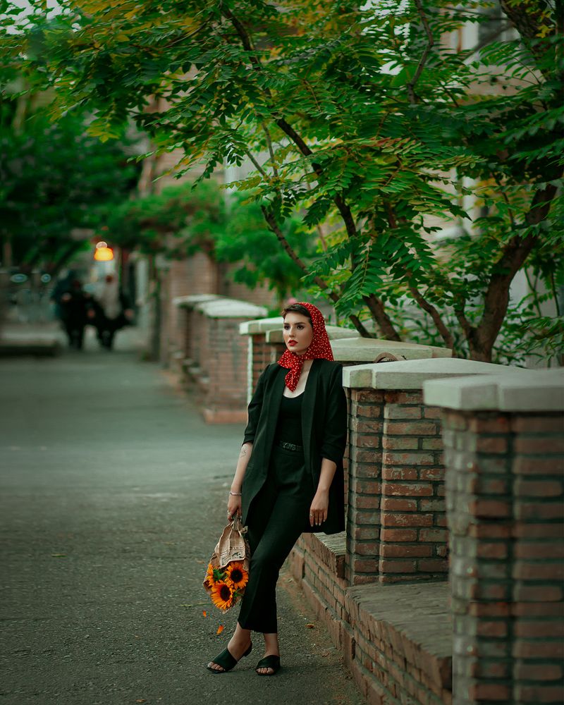 Фотография автора morteza solgi