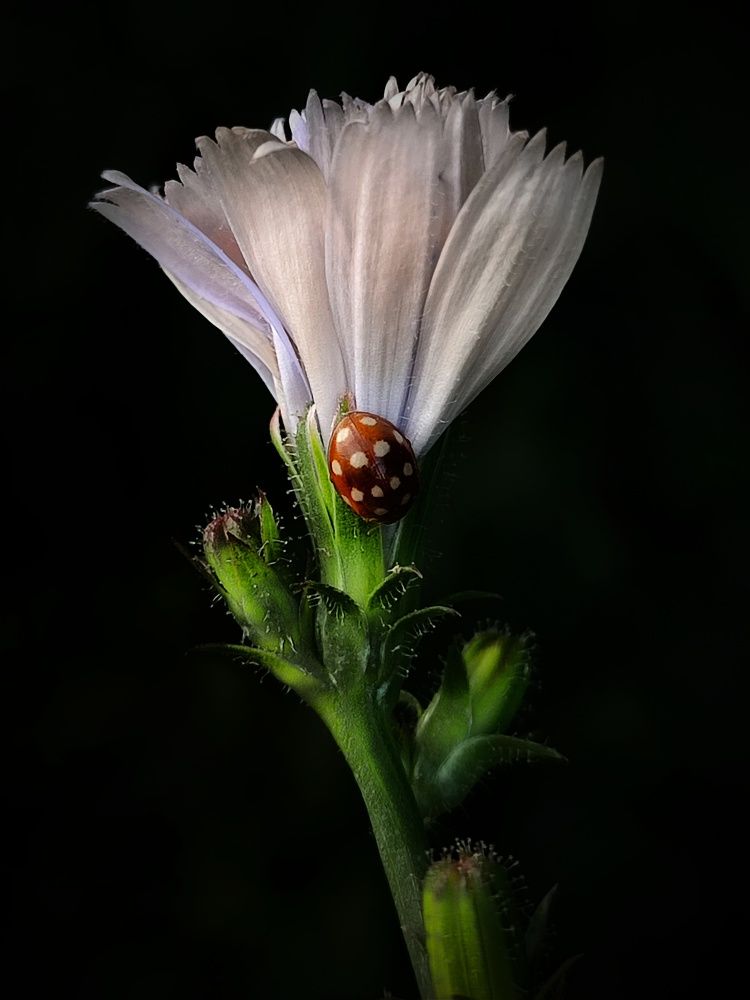 Photograph by Лолита Богачева