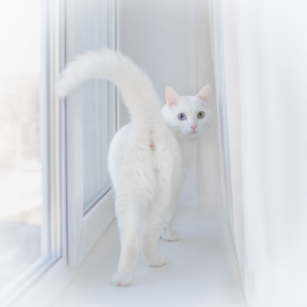 Photograph by Наталья Магда