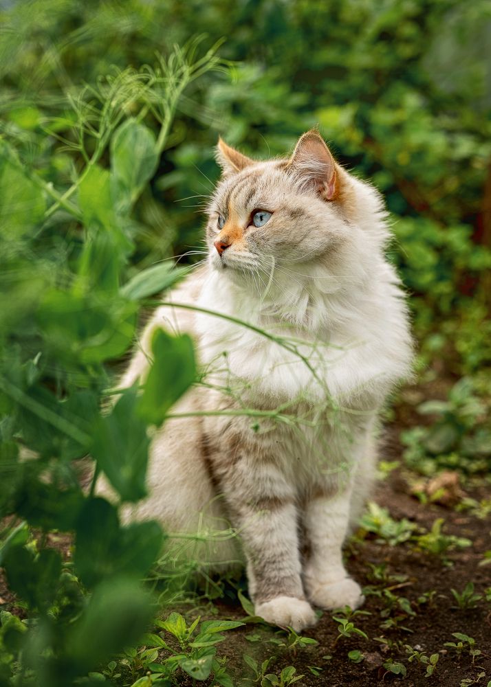 Photograph by Екатерина Каминская