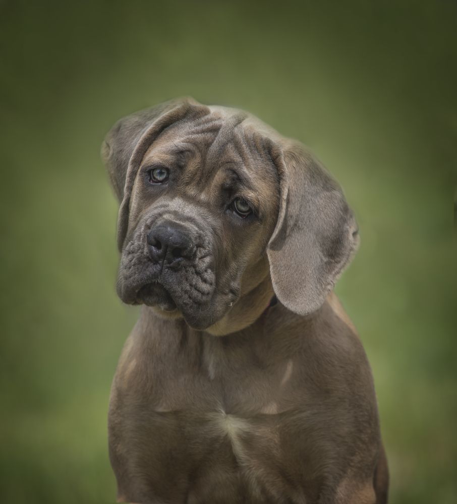 Photograph by Евгения Барановская