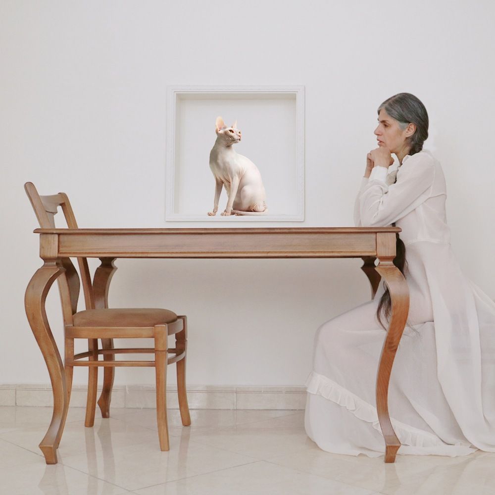 Photograph by Vida khani