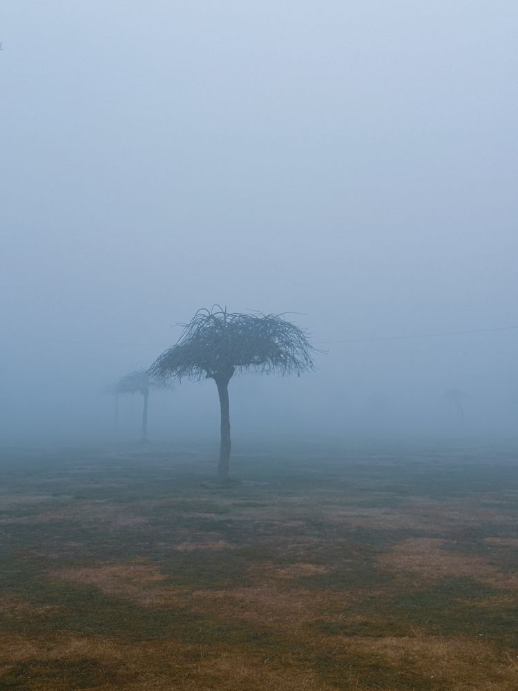 Photograph by Abdul Raouf Dar