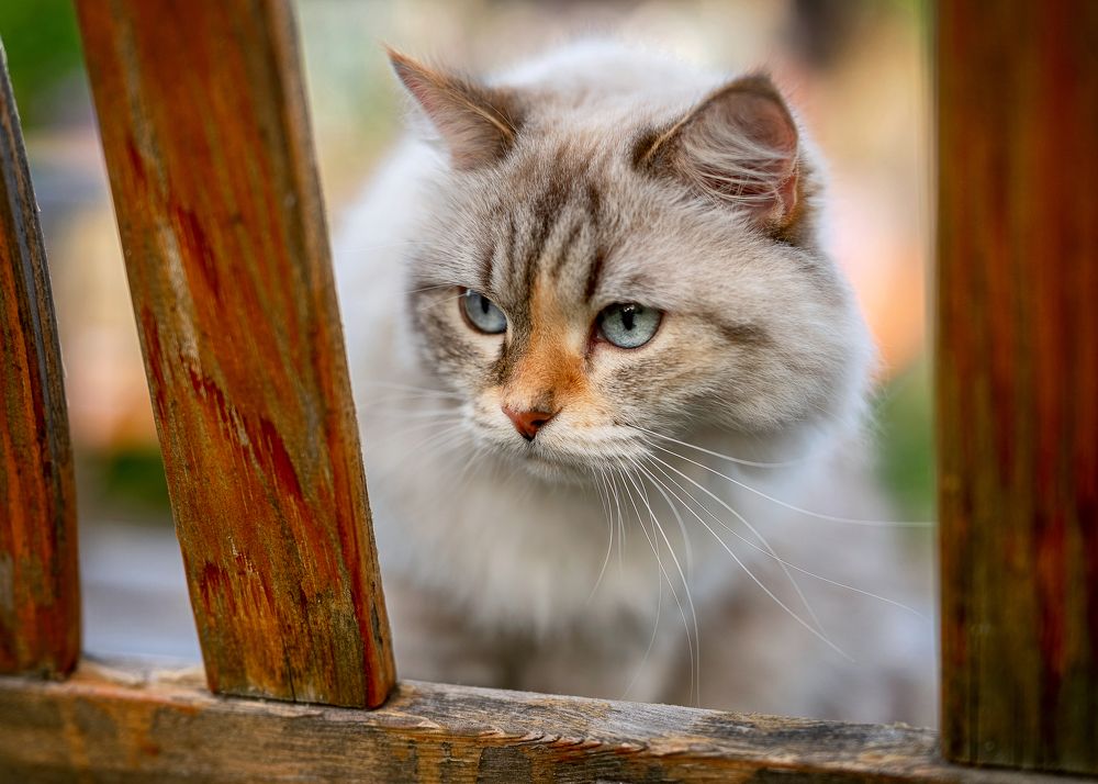 Photograph by Екатерина Каминская