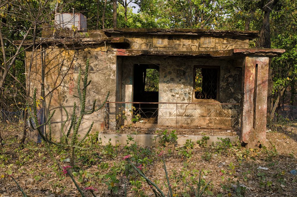 Photograph by Kaushik Dolui