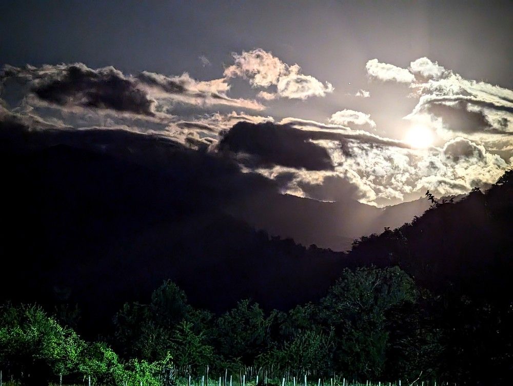 Фотография автора Ольга Костенко