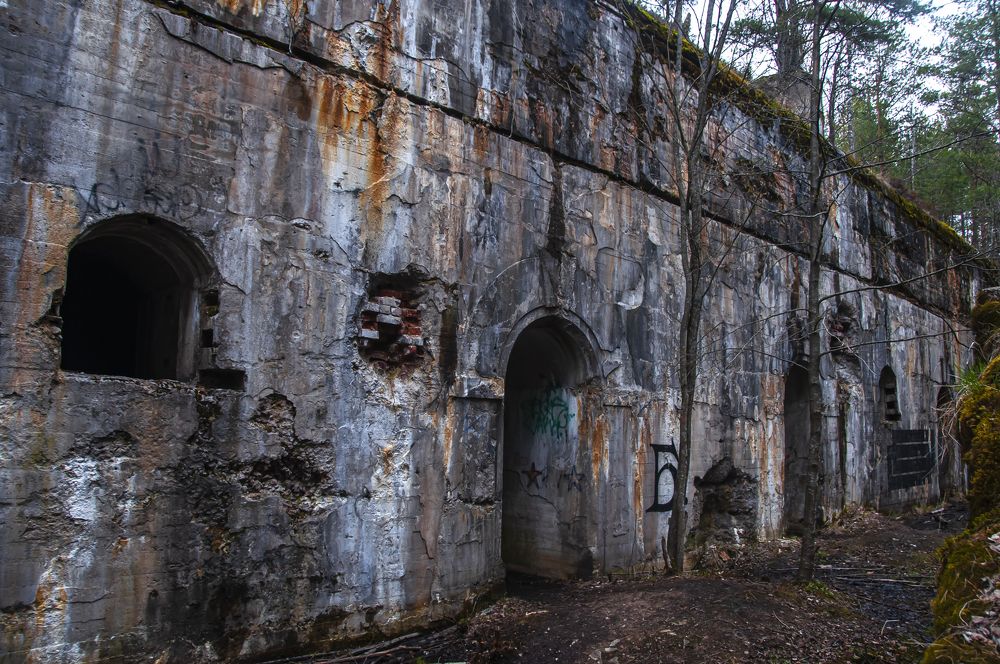 Photograph by Никита