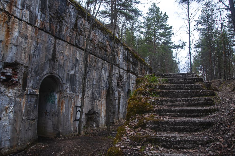 Photograph by Никита