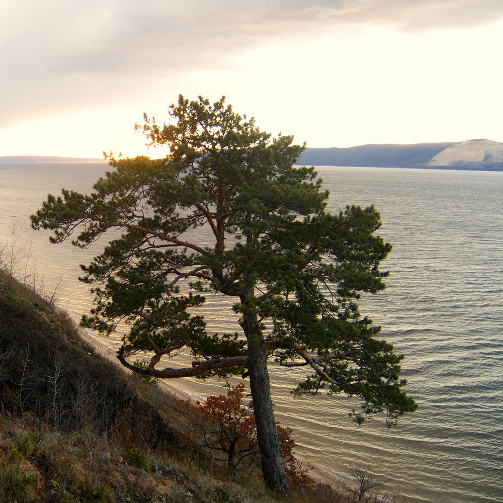 Photograph by Сергей Рудаков