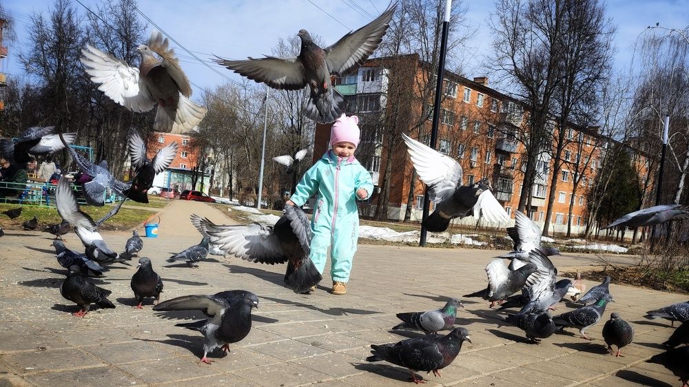 Photograph by Анна Корнейко