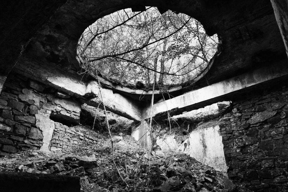 Photograph by Денис Новокрещенов