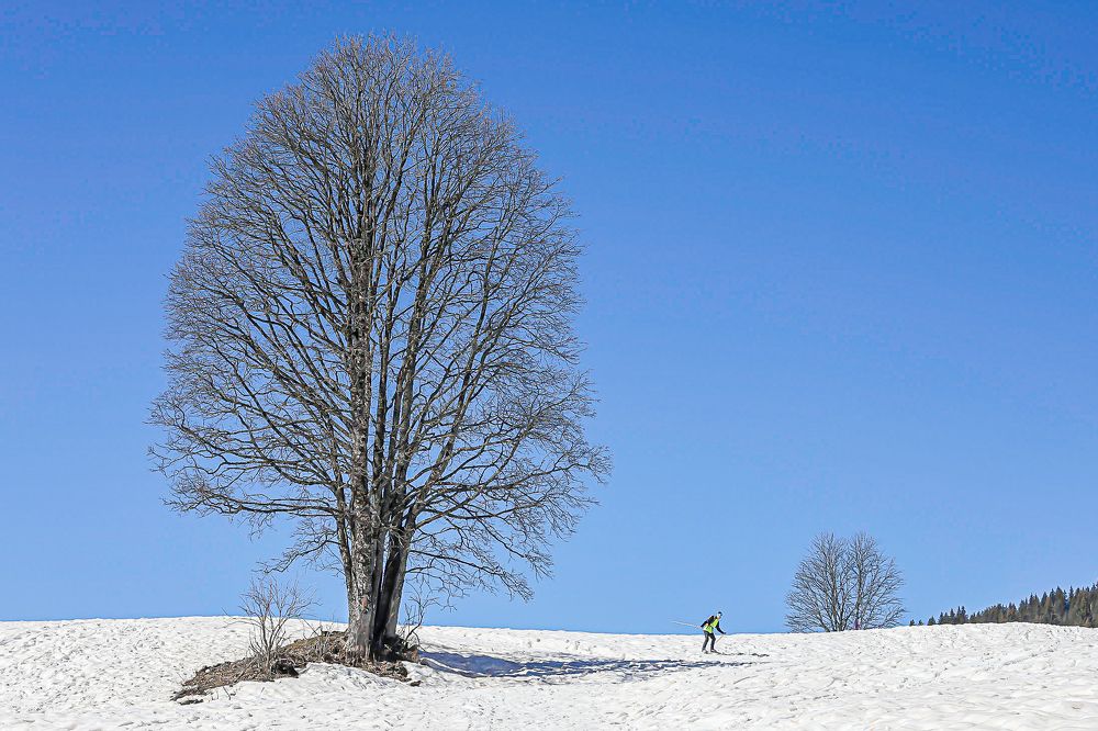 Фотография автора Michel PACHOT